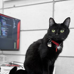 AI is powerful only in expert hands